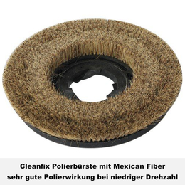 Polierbrste (Mexican Fiber) I Cleanfix